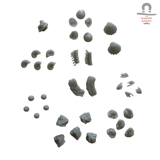 Coral Decorations - Magnet Baron